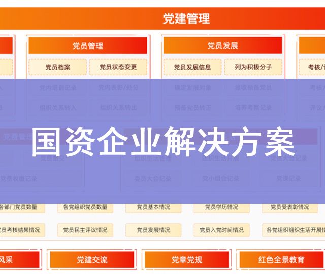 国资企业解决方案